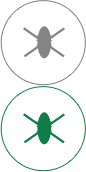 龙八long8玩家高效抗菌