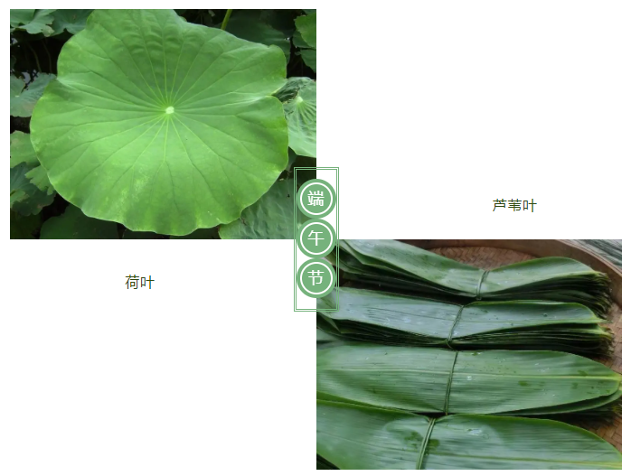 龙八long8玩家医纺