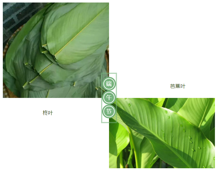龙八long8玩家医纺