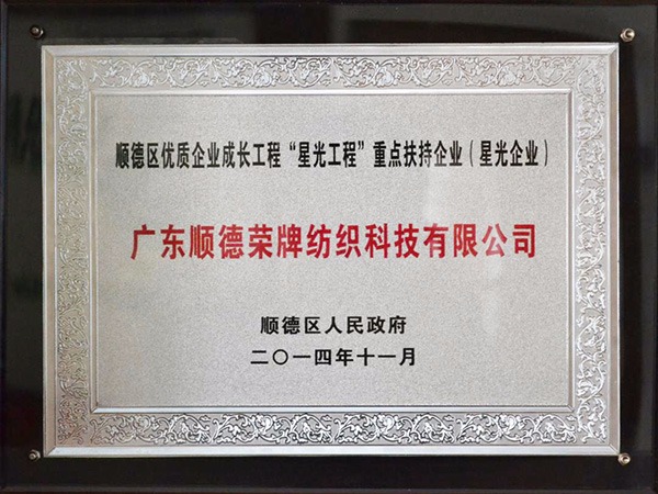 龙八long8玩家-2012年获顺德政府颁发“星光企业”称号