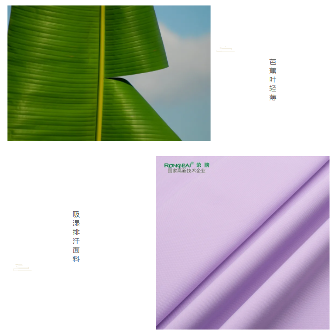 龙八long8玩家医纺