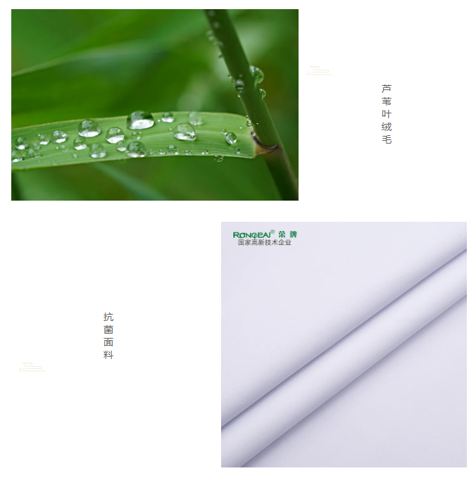 龙八long8玩家医纺